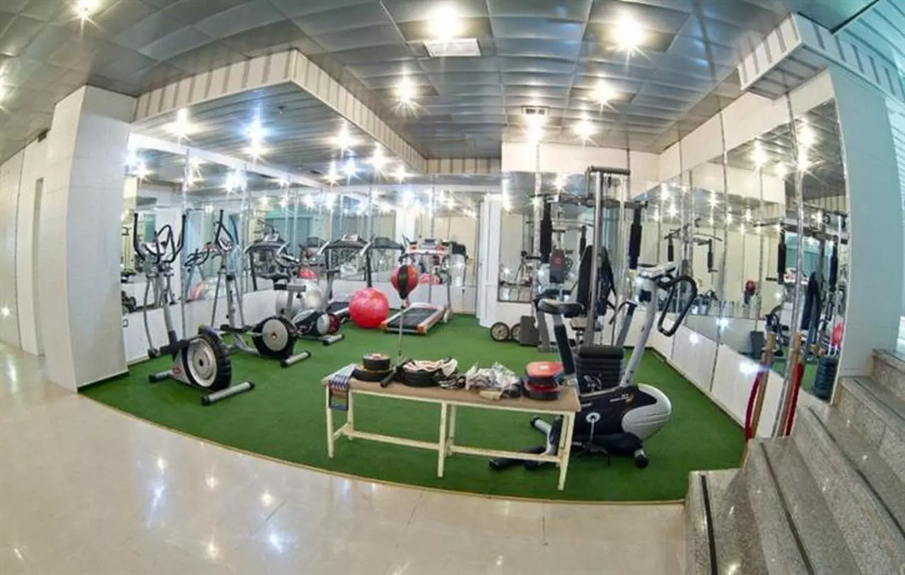 AMBASSADOR_SHABAVIZ (10).jpg